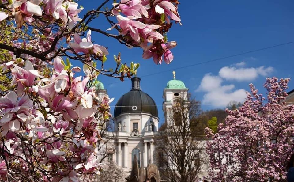 Hotel Vogelweiderhof Salzburg Exteriör bild